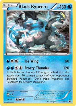 Black Kyurem - XY160 - XY Promos - Holofoil - Moderately Played (MP)