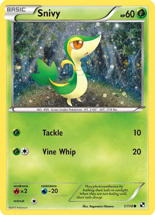 Snivy - 1/114 (Cosmos Holo) - Miscellaneous Cards and Products - Holofoil - Heavily Played (HP)