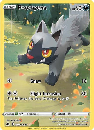 Poochyena - Crown Zenith Galarian Gallery - Holofoil - Near Mint (NM)