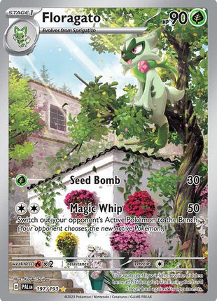 Floragato - 197/193 - SV02 Paldea Evolved - Holofoil - Near Mint (NM)
