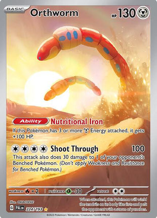 Orthworm - 224/193 - SV02 Paldea Evolved - Holofoil - Near Mint (NM)