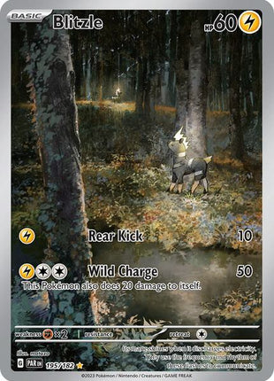 Blitzle - 195/182 - SV04 Paradox Rift - Holofoil - Near Mint (NM)