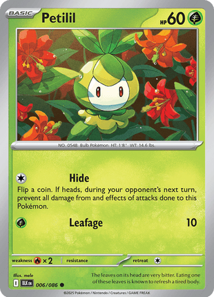 Petilil (Master Ball Pattern) - SV Black Bolt - Holofoil - Near Mint (NM)