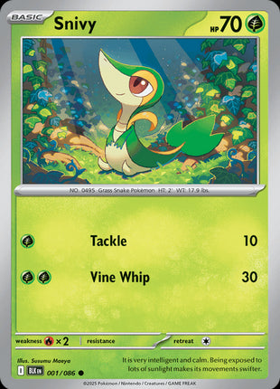 Snivy (Poke Ball Pattern) - SV Black Bolt - Holofoil - Near Mint (NM)