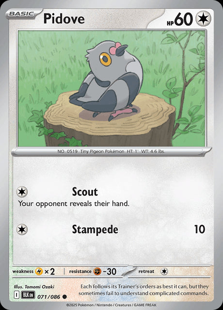 Pidove (Poke Ball Pattern) - SV Black Bolt - Holofoil - Near Mint (NM)