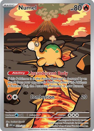 Numel - 223/217 - ME Ascended Heroes - Holofoil - Near Mint (NM)