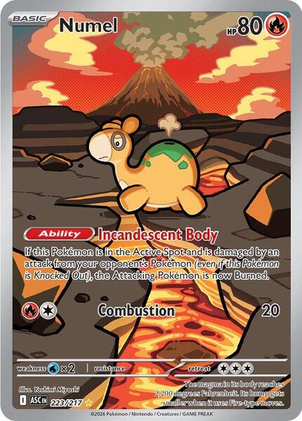 Numel - 223/217 - ME Ascended Heroes - Holofoil - Near Mint (NM)