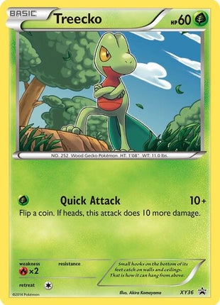 Treecko - XY36 - XY Promos - Holofoil - Near Mint (NM)