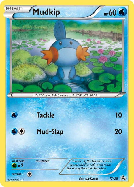 Mudkip - XY38 - XY Promos - Holofoil - Lightly Played (LP)